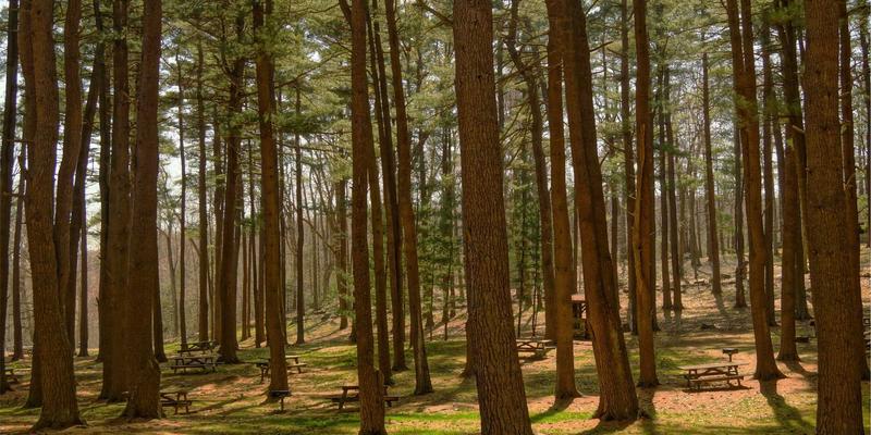 交叉模式中国18：解码当代生活美学与潮流趋势的融合密码
