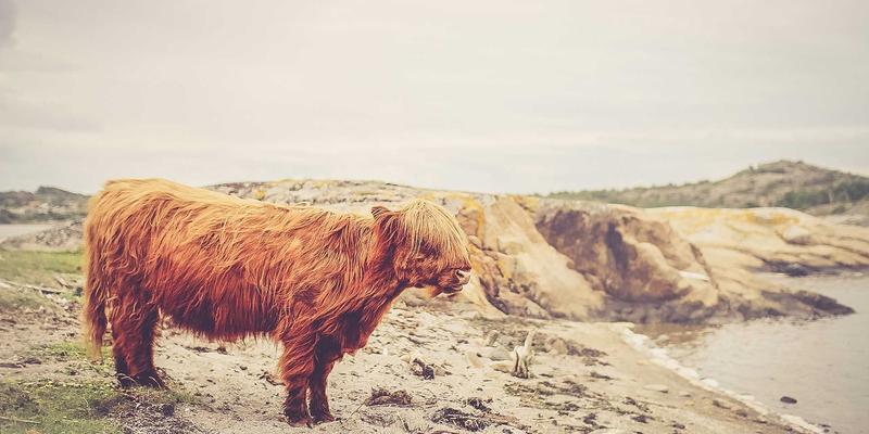 交叉模式中国75：当中国时尚、绿色理念与商务正式碰撞出新美学