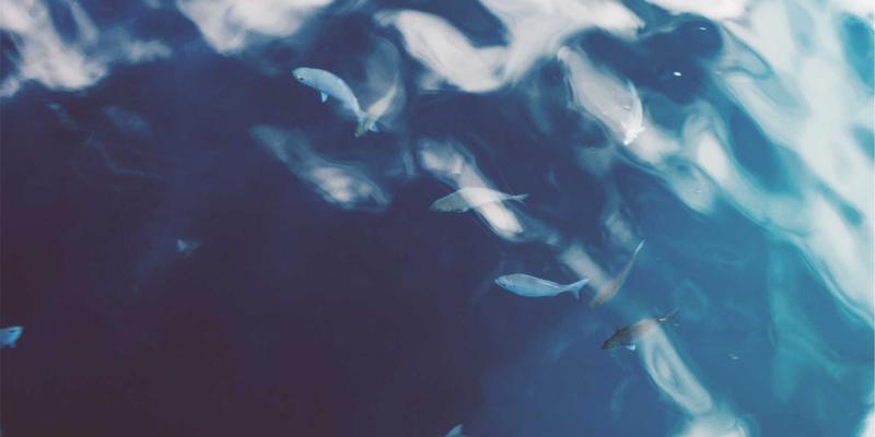 交叉模式中国84：商务正式与时尚潮流的跨界交响