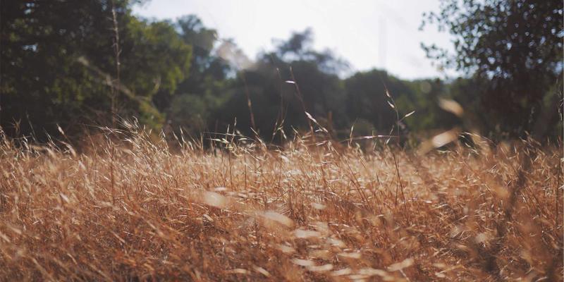交叉模式中国：解码当代潮流趋势下的生活方式新范式
