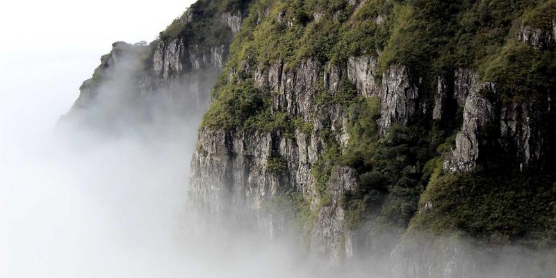 交叉视野下的文化遗产保护：数字孪生、材料化学与非遗活态传承