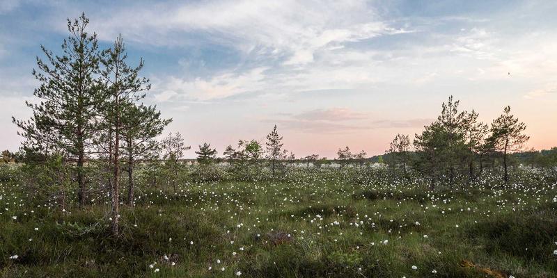 从时尚潮流到国家动脉：空天地海一体化网络如何重塑生活美学与绿色未来