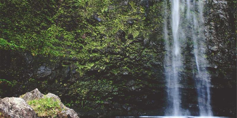 从绿色时尚到商务正式：解码中国生态产品价值实现的市场新机制