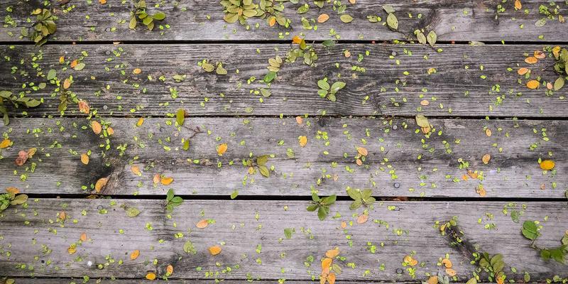 时尚潮流新纪元：生物制造如何重塑化工材料与可持续生活方式