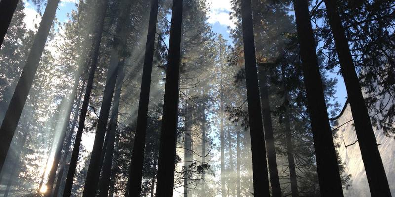 智慧生活新范式：中国能源互联网中的多能互补与数字化调控